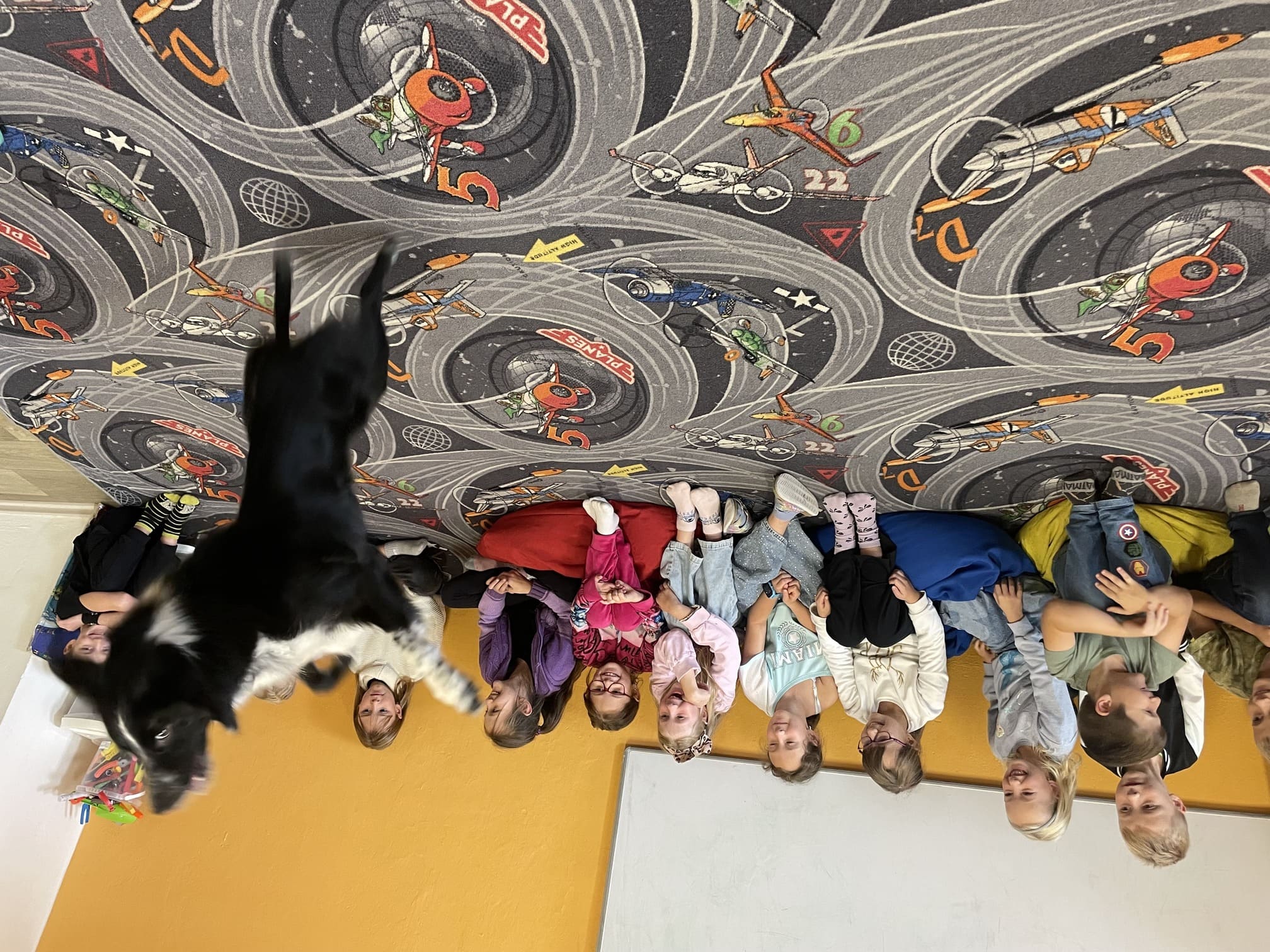 Úkázka výcviku psa ve školní družině